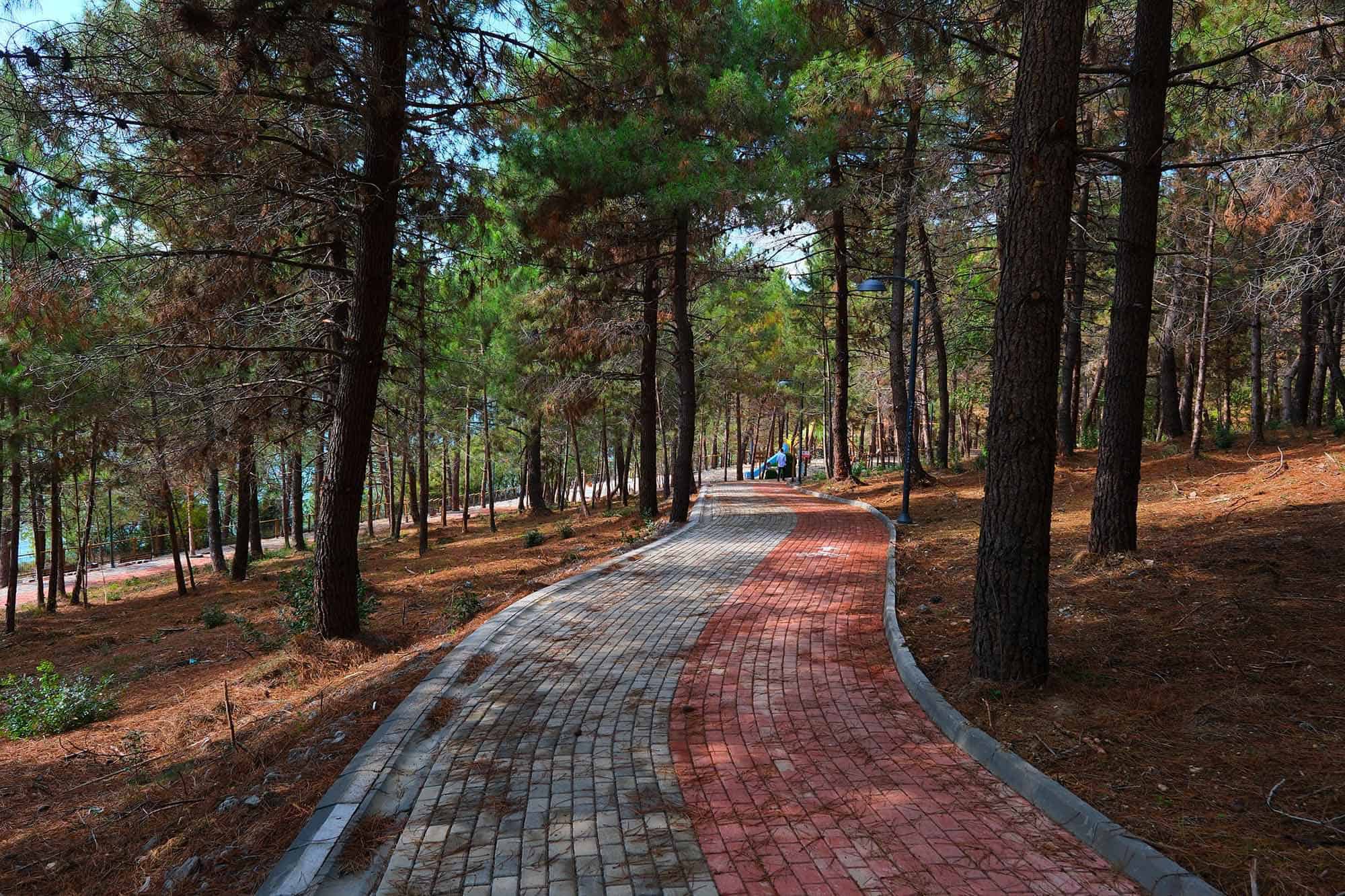 Sakarya’da 5 Nisan’da Huzur Koridoru’nda Düzenlenecek 23 Nisan Halk Koşusu ile Bahar Sporla Karşılanacak