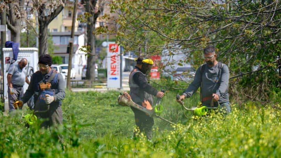 Serdivan Bahçelievler Kirişhane Caddesi’nde Yol ve Yeşil Alanlarda Düzenli Bahar Bakımı Yapıldı